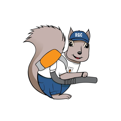 Raleigh Gutter Cleaning LLC, established 2017