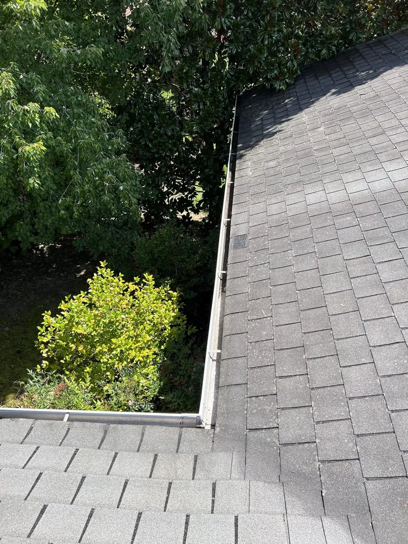 Clean gutter along a tree-lined residential roof